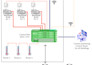 pv dg controller, ems, automation